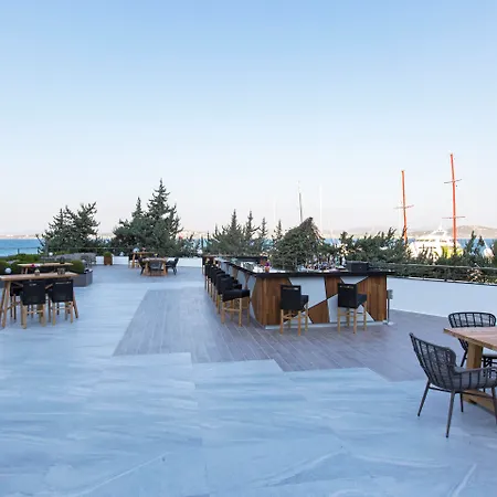 Altin Yunus Hotel&SPA - Çeşme-2
